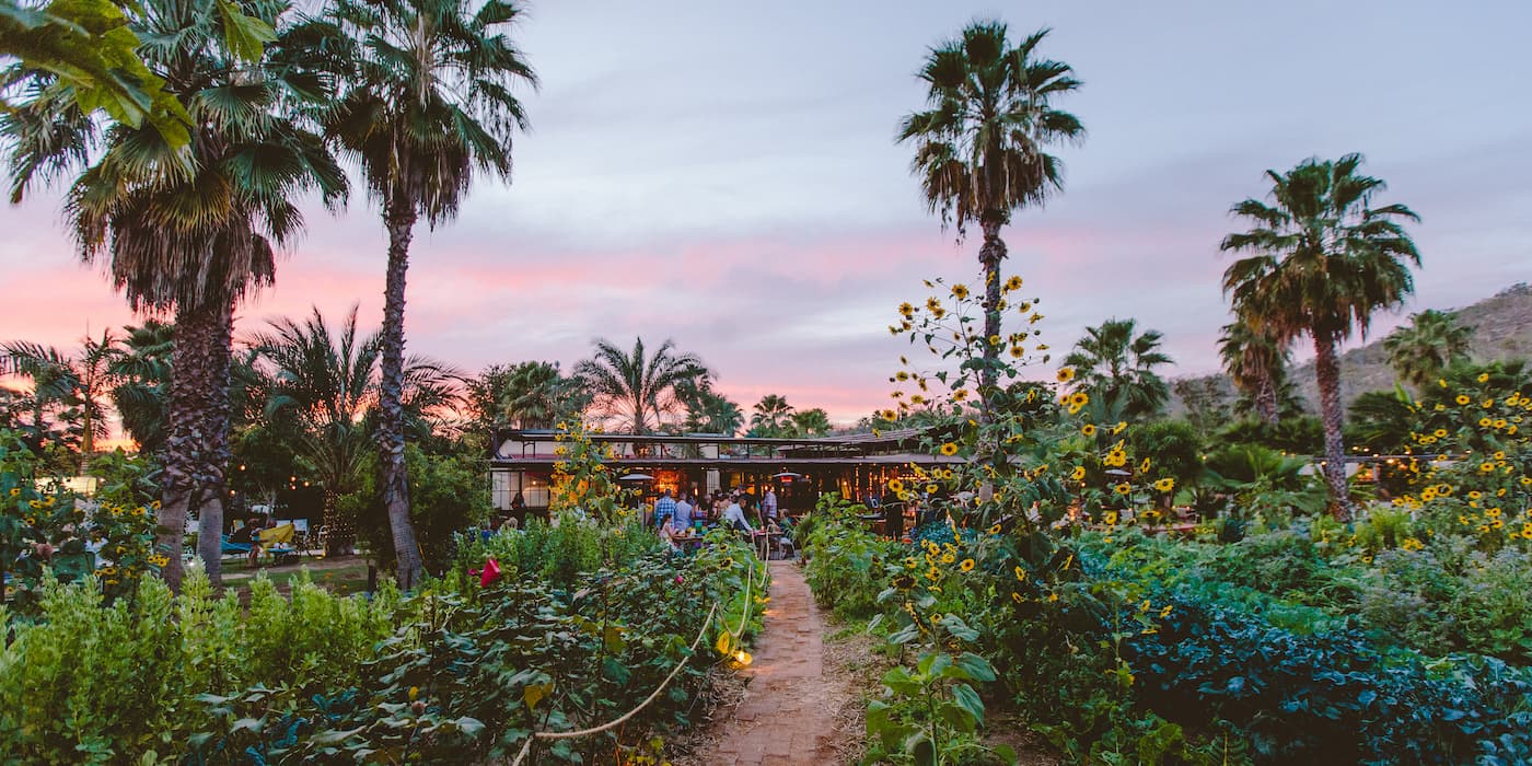 Expansive view of a lush green farm under a bright sky