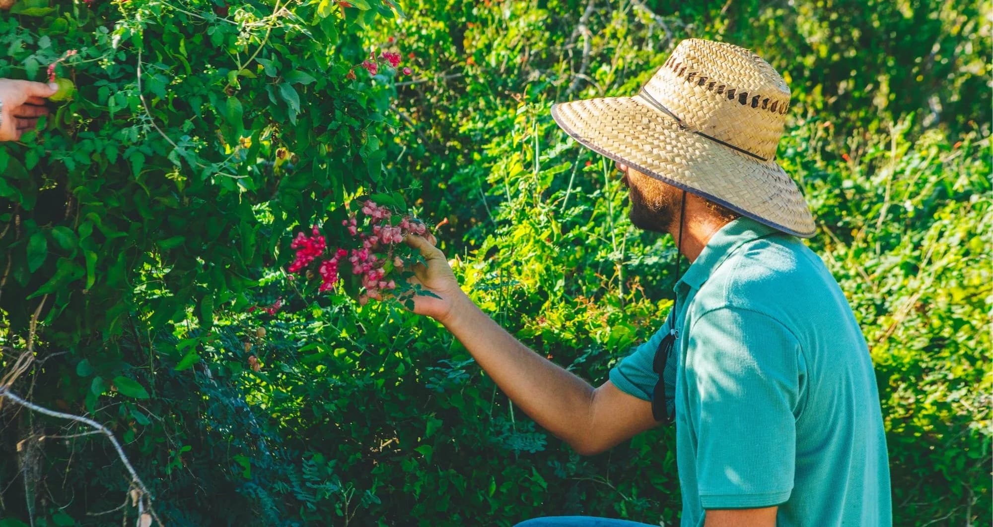A sunlit, rustic wooden barn with farm equipment in the foreground